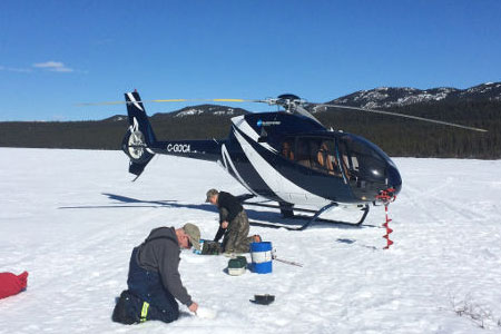 Horizon Helicopters